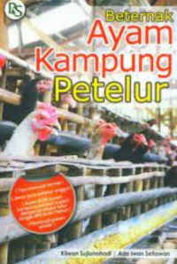 Beternak Ayam Kampung Petelur