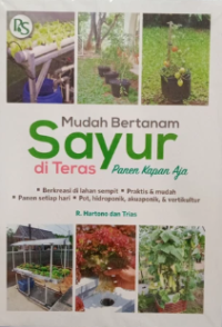 Mudah bertanam sayur di Teras panen kapan aja