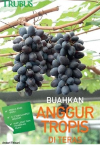 Buahkan anggur tropis di teras