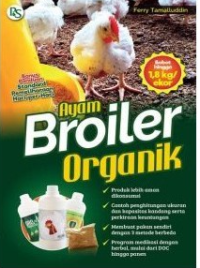 Ayam broiler organik