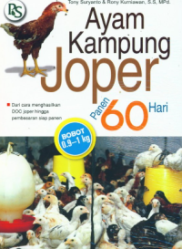 Ayam kampung joper panen 60 hari