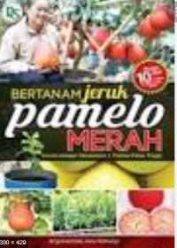 Bertanam Jeruk pamelo merah