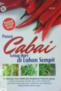 Panen cabai setiap hari di lahan sempit