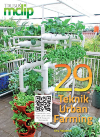 29 teknik urban farming