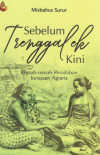 Sebelum Trenggalek kini Remah-remah peradaban Kerajaan Agraris