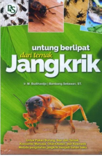 Untung berlipat dari ternak jangkrik