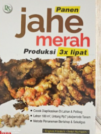 Panen jahe merah produksi 3x lipat